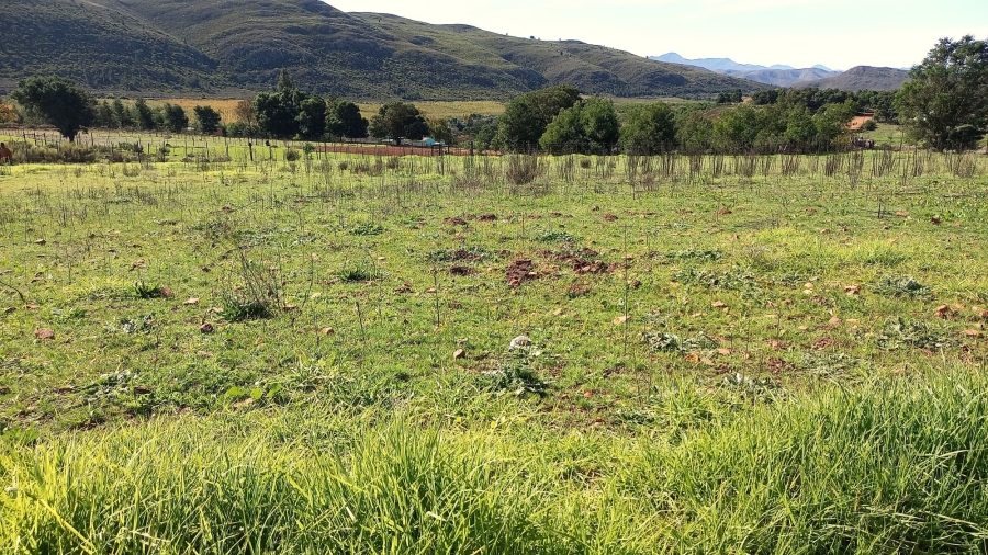 Commercial Property for Sale in Haarlem Western Cape